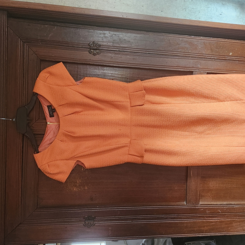 Elegant Orange Dress